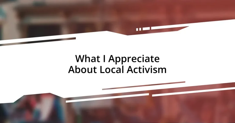 What I Appreciate About Local Activism