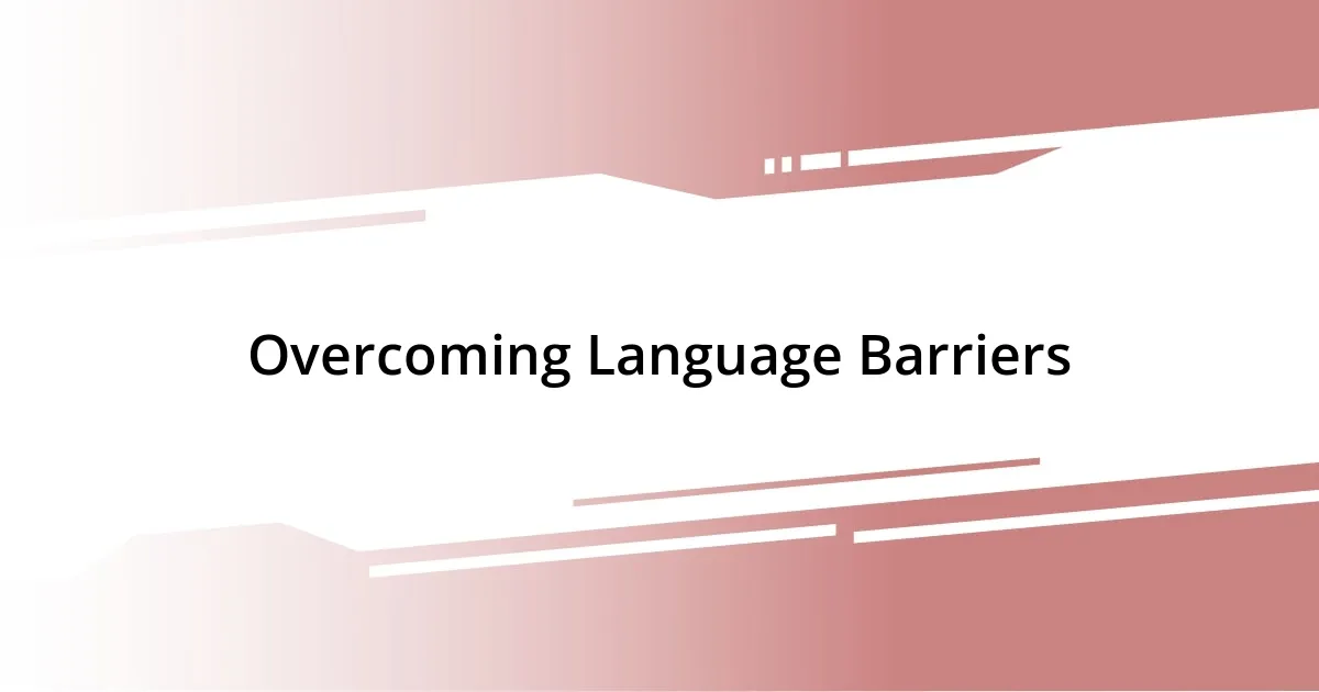 Overcoming Language Barriers