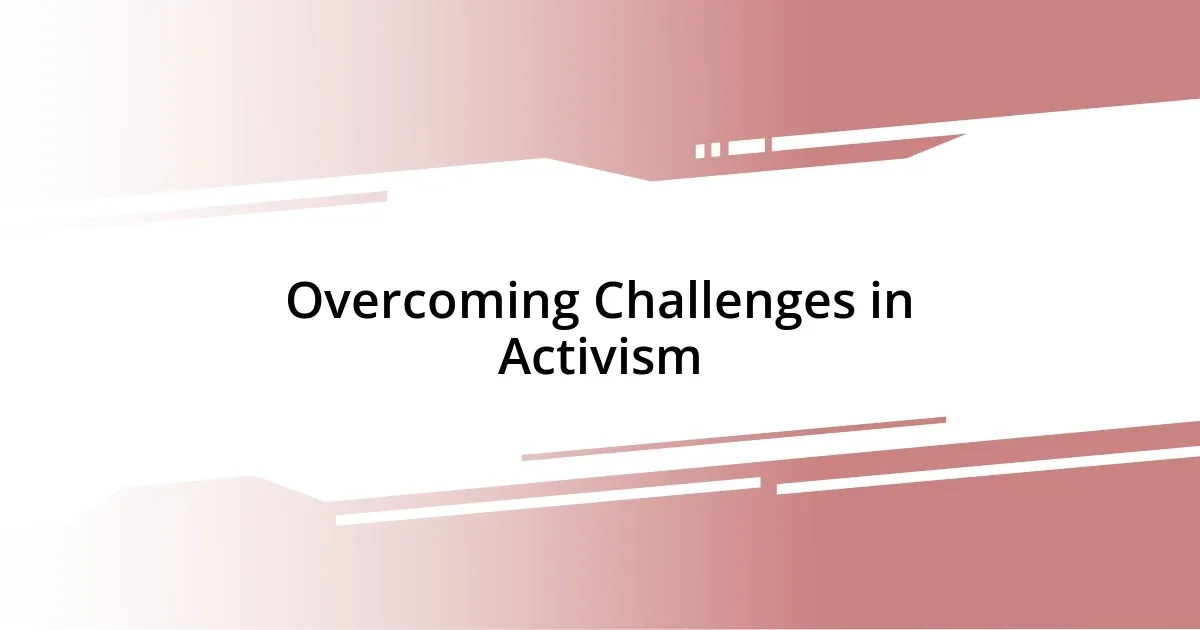 Overcoming Challenges in Activism